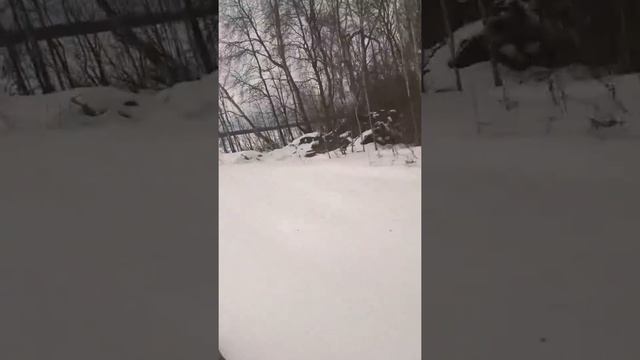 ПОКАТУШКИ НА СНЕЖИКЕ ТАЙГА АТАКА 551 (2), ЧАСТЬ ПЕРВАЯ.