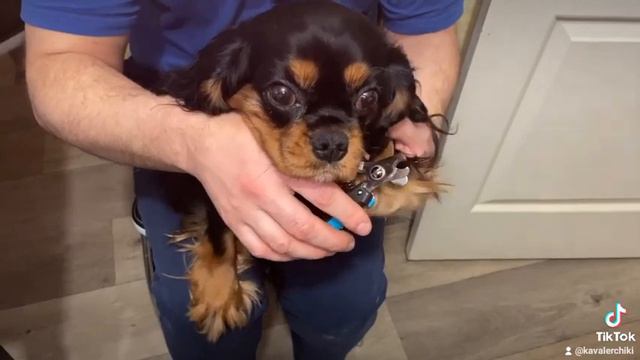 2 февраля 2023 г.