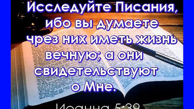 Евгений Гудухин Живая книга