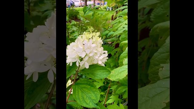 1dd1a2e1a547ac4a434fbabfed22767d