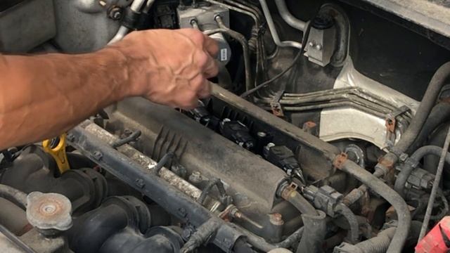 Дорожная Лихорадка