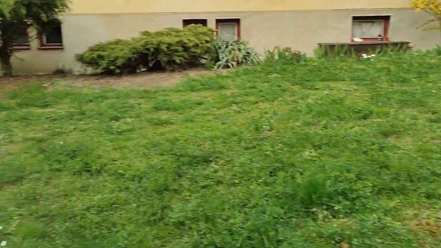 #прогулка #дети #мояпринцесса #хорошаяпогода