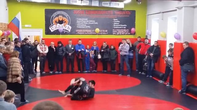 B2b49b195106880140dfbcd95823dca9