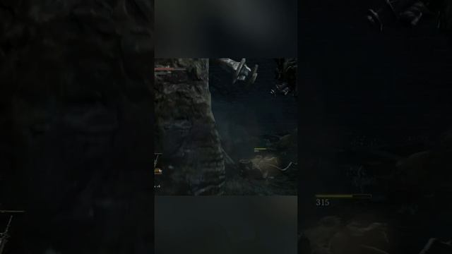 Мастер педикюра в деле / Dark Souls3