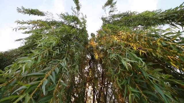 4 - Canon 10-18mm F4,5-5,6 Is Stm