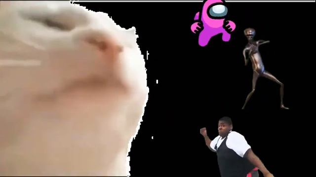 🎊| IEVAN POLKKA | VIOLIN COVER | BY SARBAJIT |🎊