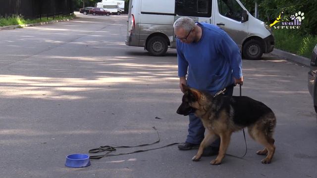 Тригер 72, Смещение к проводнику с удержанием внимания на объекте