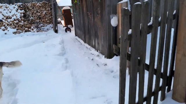 ВОССТАНОВЛЕНИЕ ШАЛАША 