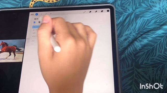 Using Procreate To Create GIF Animation