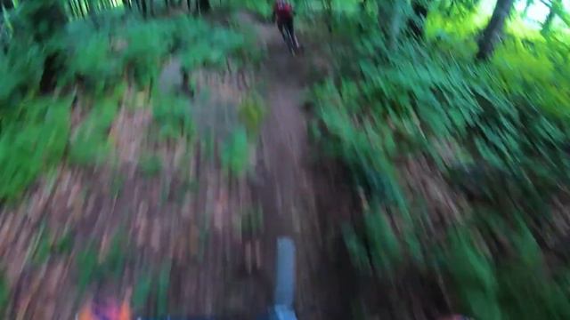 БАЙК-ПАРК КРАСНАЯ ПОЛЯНА | Еду без цепи | Мискузи | Ежевика | Столовая |