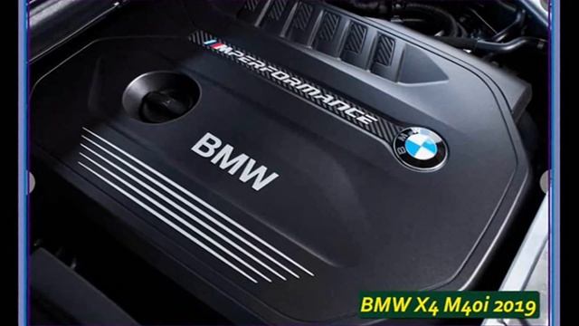 Чемпионы в кольцах