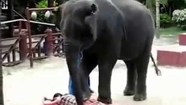 31553957b9b7cca44fdd562fee302257