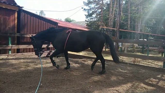 D870824c40708d0791731ef3ac587d73