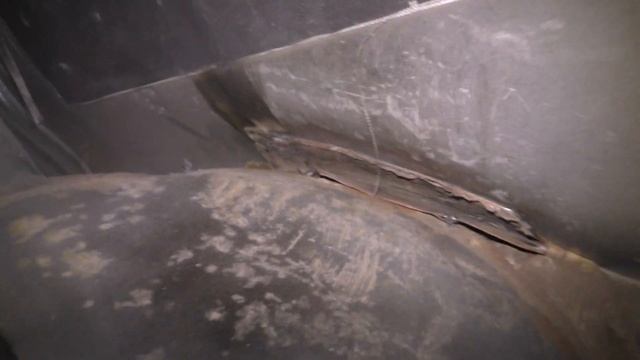 Вкусовые Эмоции