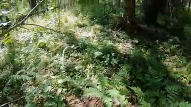 E6aedfd403114a97f127f6949ed804dc