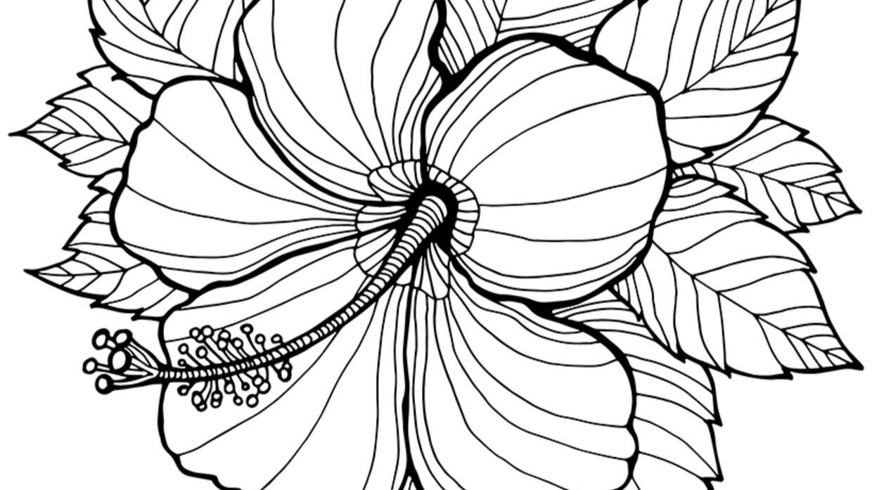 80b1c8984a48884e048f21cfd63e4568