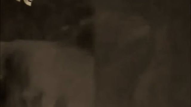 83524f367c4a04a5be3a0ea8e0a31ea2