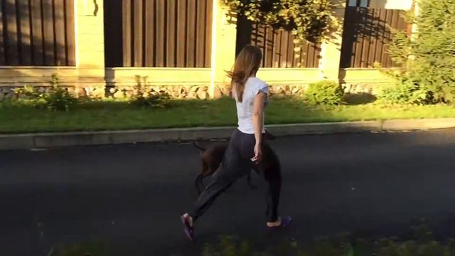 Izel Caliente (Xoloitzcuintli)