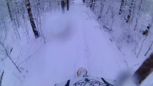 Кто куда, а мы на озеро через лес