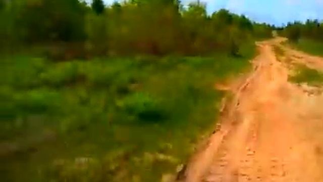 Когда побеждает зной