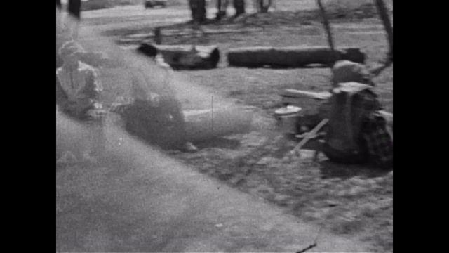 Раздорские Первоцветы