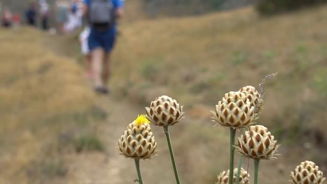 Крым. Карадаг. Экскурсия с необычным экскурсоводом. Курортное. Золотые ворота. Коктебель 2020