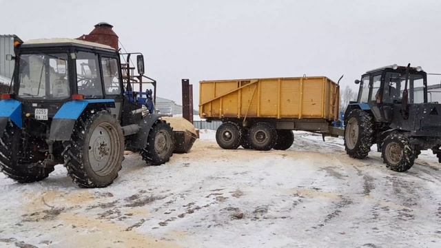 Посевной компании - БЫТЬ ! Купили семена клевера/тимофеевки/кукурузы. Возим опилки / навоз