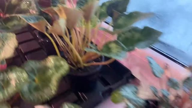 015c1d02edb0df1db2f4acebd87af624