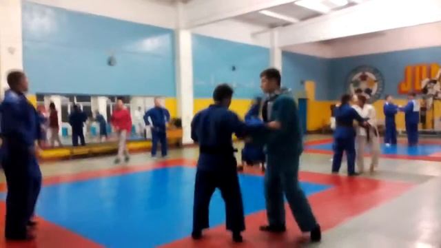 Передняя подножка