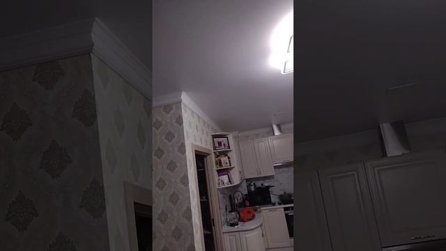 Bc232fe9815a90f2da713142b4df1e03