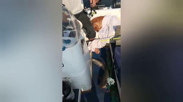 НА ВОЛГУ С ЮРИКОМ! 27.08.24