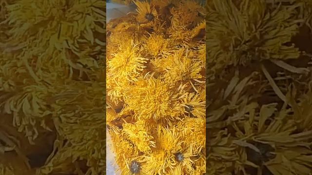 Pure Yellow Chrysanthemum Tea Loose Leaves, Golden Silk Chrysanthemum,Big Diameter Golden Silk Chry