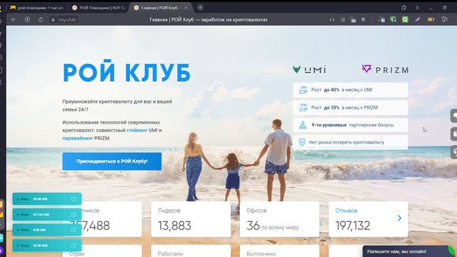рой клуб отличный заработок