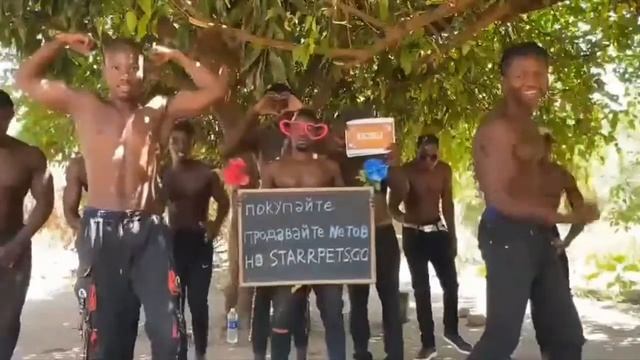 StarPets не может больше чем-то удивить?