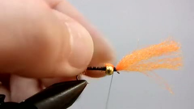 F86eaae22aedda86d0f204d1977b0cab