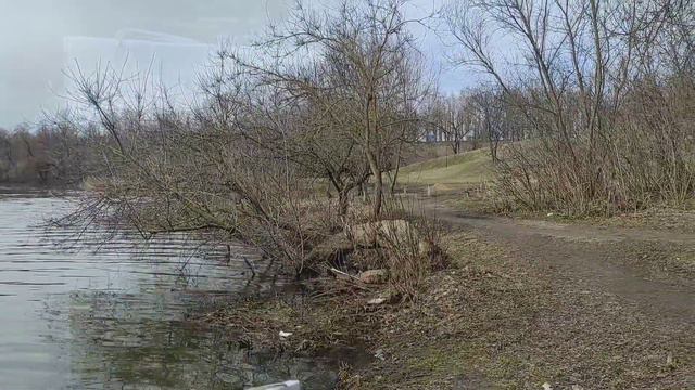 Этюд Теплый день. Видеозарисовка.