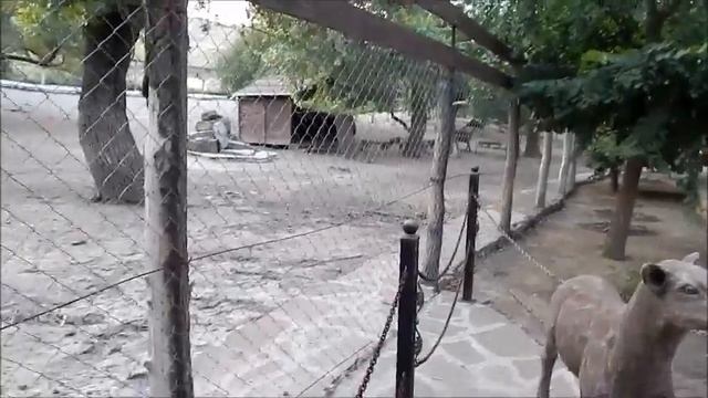 Парк отдыха 