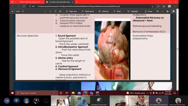 PELVIC MASS & PELVIC PAIN LECTURE FOR YEAR 3 UITM MEDICAL STUDENTS