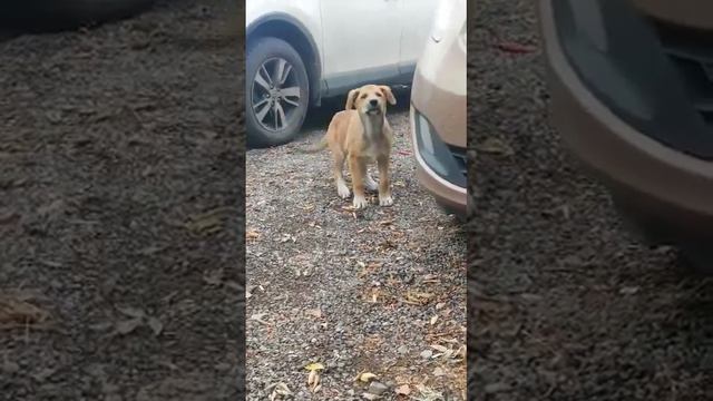 0ef43c0b71a3b9a5349f703b2bd4741b