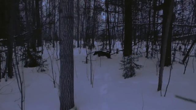 Знакомство с РЕЛ  Молли