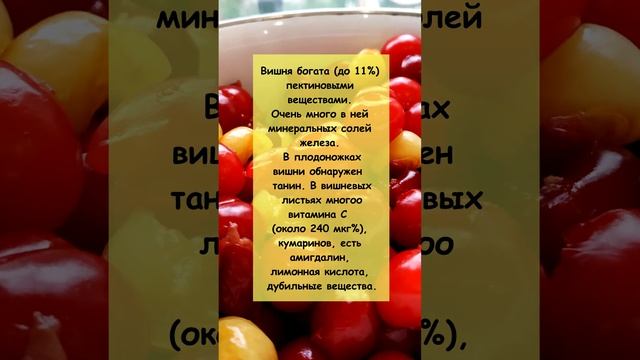 Вишня и ее польза о которой Вы не знали