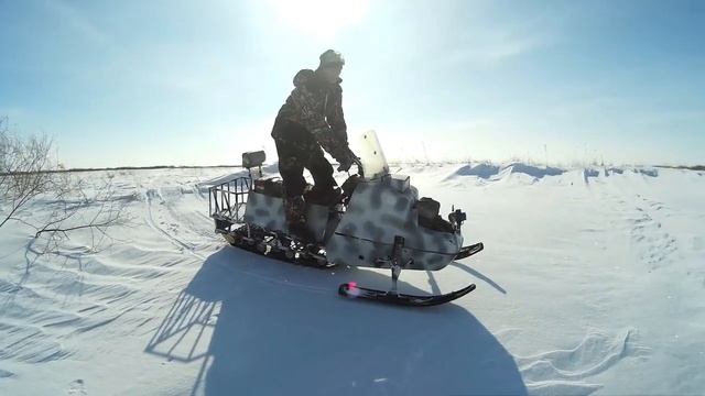 Охота на зайца  !  Январь 2017 .