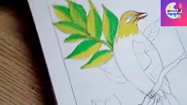Bird Drawing||oil Pastels Drawing|| For Kids||@archanaartwork