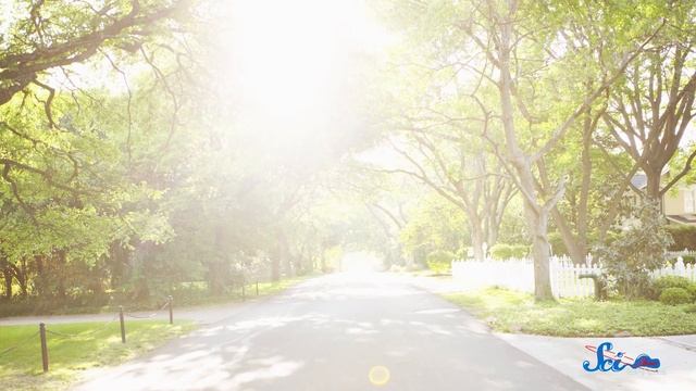 The Kugelblitz: A Black Hole Made From Light