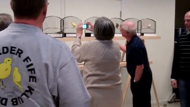 DBF Nordic Open 2011