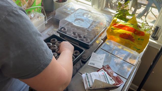 2023: The Start Of Something Big! Seed Starting Phase 1