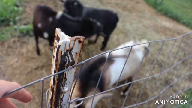 This Is What Happens When You Don't Hit Record!!