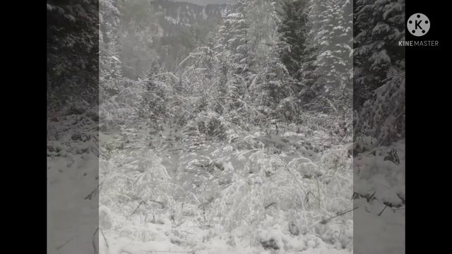 No Words - In The Forest (музыка для души 