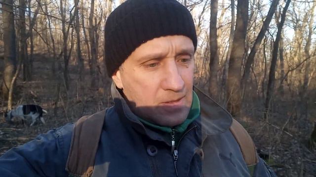 Зима без снега . Тихо в лесу.