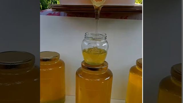 113e20815229acef86fad2899a796c95